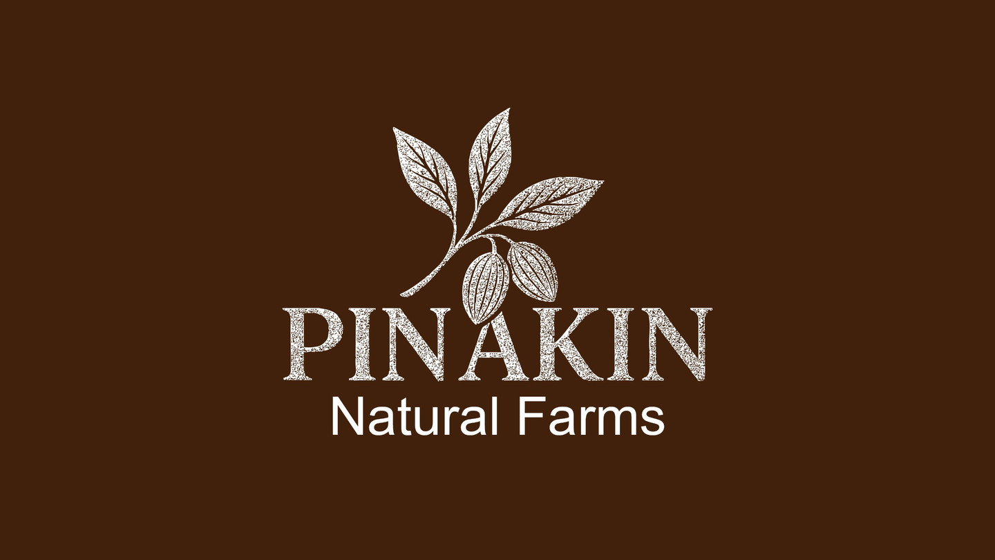 Pinakin premium dry fruit packaging design featuring an elegant logo and warm brown natural brand presentation.