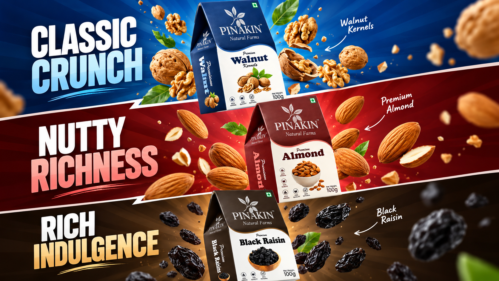 Pinakin Premium Dry Fruit Packaging Design presentation 2