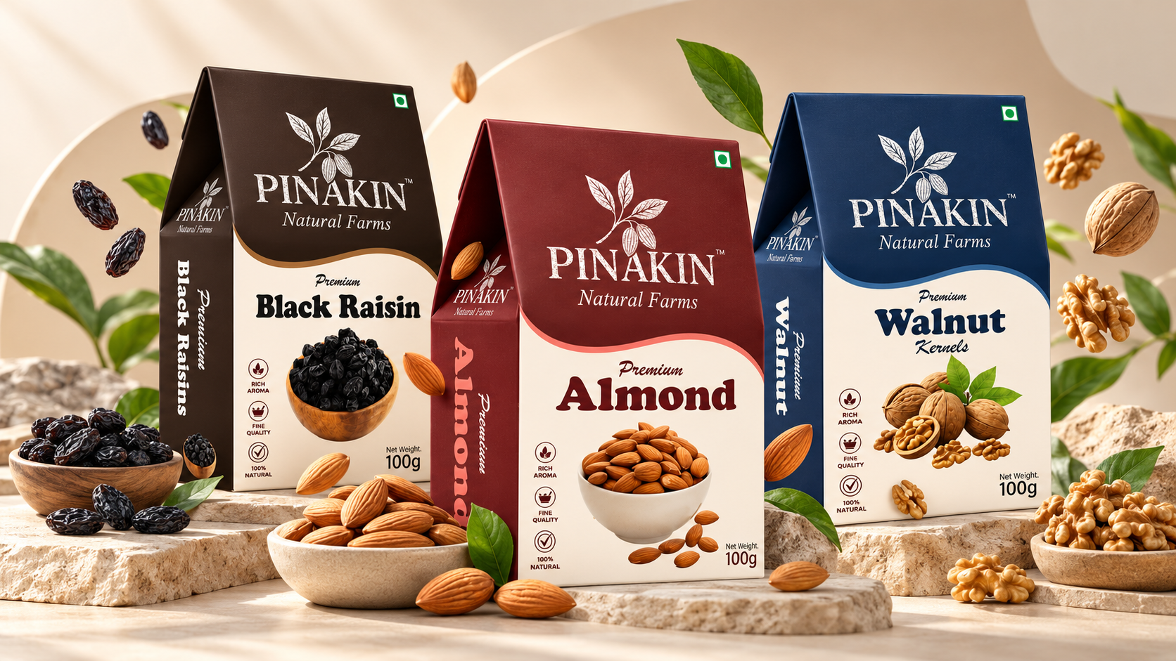 Pinakin Premium Dry Fruit Packaging Design presentation 4